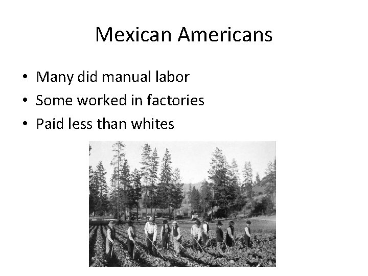 Mexican Americans • Many did manual labor • Some worked in factories • Paid