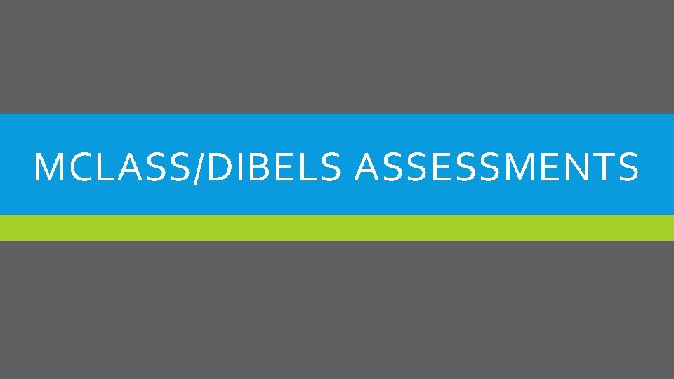 MCLASS/DIBELS ASSESSMENTS 