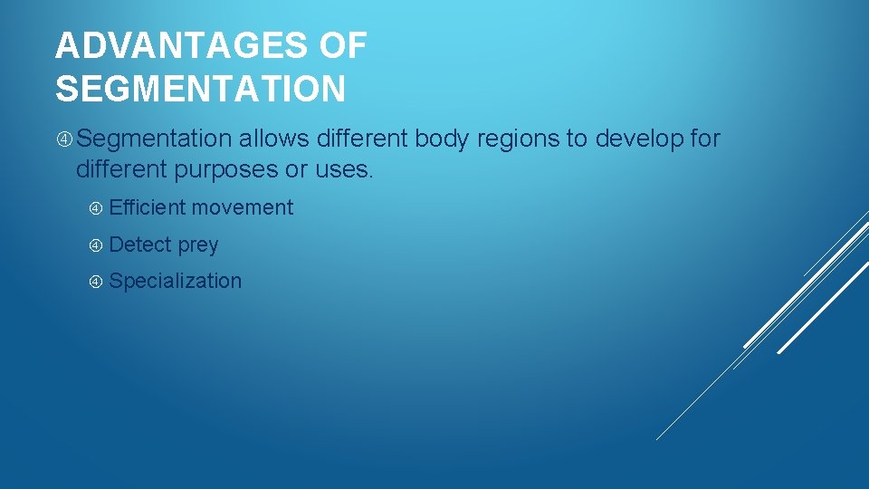ADVANTAGES OF SEGMENTATION Segmentation allows different body regions to develop for different purposes or
