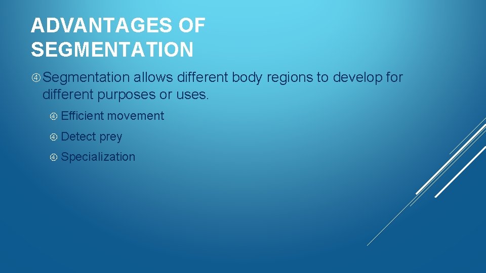 ADVANTAGES OF SEGMENTATION Segmentation allows different body regions to develop for different purposes or