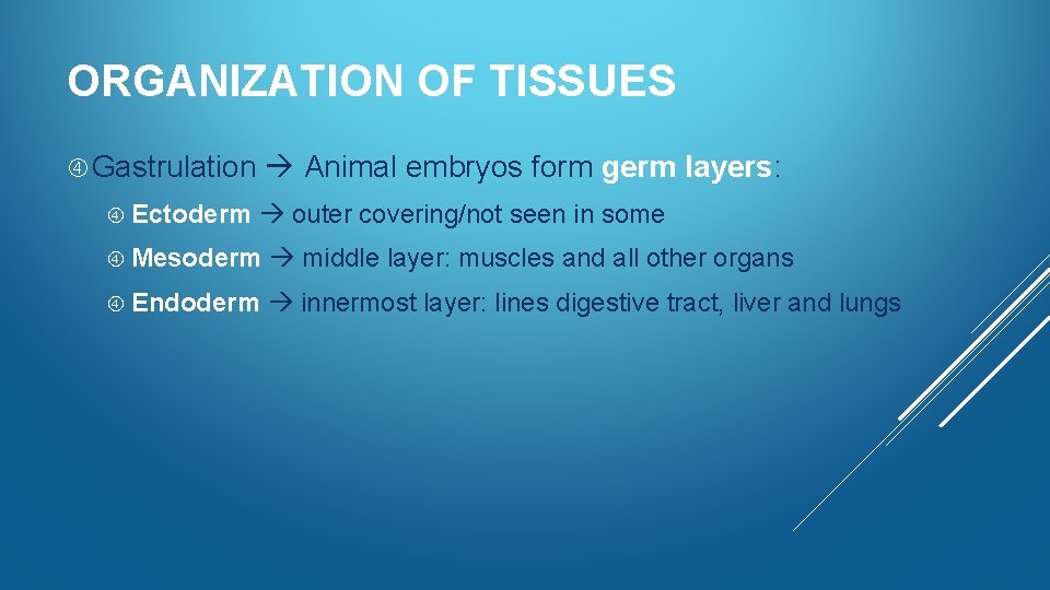 ORGANIZATION OF TISSUES Gastrulation Ectoderm Animal embryos form germ layers: outer covering/not seen in