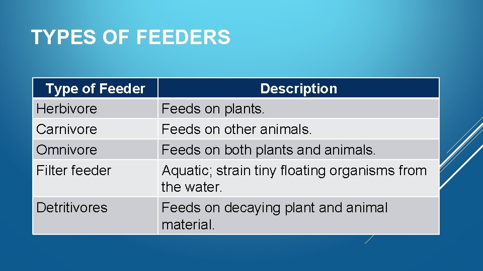 TYPES OF FEEDERS Type of Feeder Herbivore Carnivore Omnivore Filter feeder Detritivores Description Feeds