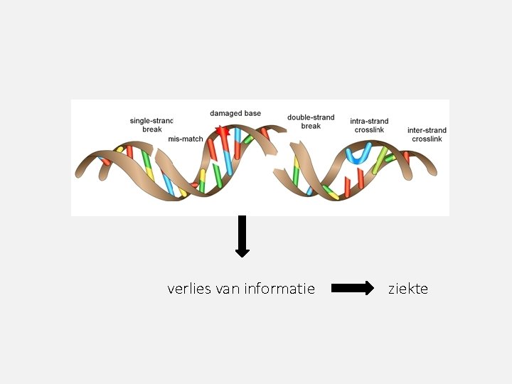 verlies van informatie ziekte 