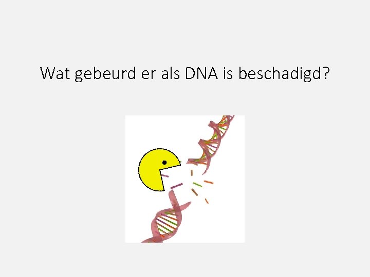 Wat gebeurd er als DNA is beschadigd? 