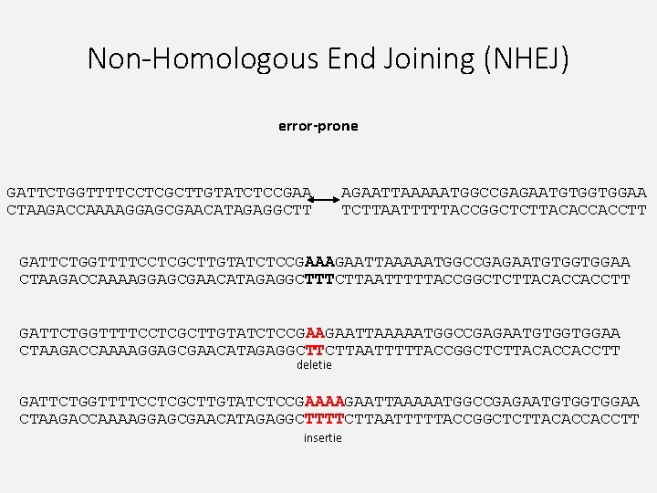 Non-Homologous End Joining (NHEJ) error-prone GATTCTGGTTTTCCTCGCTTGTATCTCCGAA CTAAGACCAAAAGGAGCGAACATAGAGGCTT AGAATTAAAAATGGCCGAGAATGTGGTGGAA TCTTAATTTTTACCGGCTCTTACACCACCTT GATTCTGGTTTTCCTCGCTTGTATCTCCGAAAGAATTAAAAATGGCCGAGAATGTGGTGGAA CTAAGACCAAAAGGAGCGAACATAGAGGCTTTCTTAATTTTTACCGGCTCTTACACCACCTT GATTCTGGTTTTCCTCGCTTGTATCTCCGAAGAATTAAAAATGGCCGAGAATGTGGTGGAA CTAAGACCAAAAGGAGCGAACATAGAGGCTTCTTAATTTTTACCGGCTCTTACACCACCTT deletie