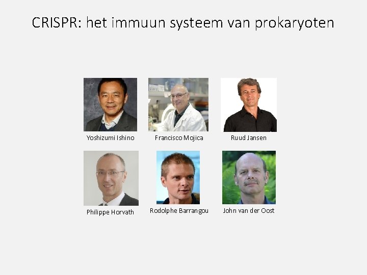 CRISPR: het immuun systeem van prokaryoten Yoshizumi Ishino Francisco Mojica Ruud Jansen Philippe Horvath