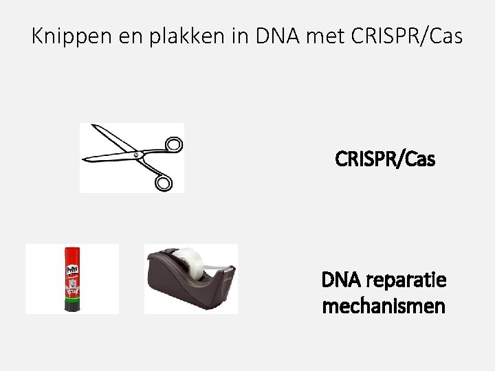 Knippen en plakken in DNA met CRISPR/Cas DNA reparatie mechanismen 