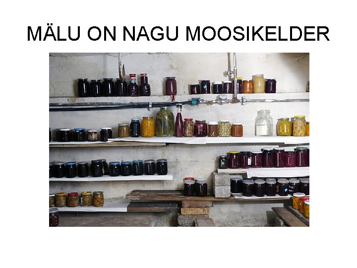 MÄLU ON NAGU MOOSIKELDER 