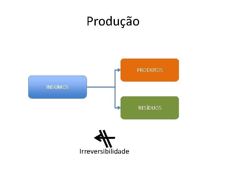 Produção PRODUTOS INSUMOS RESÍDUOS Irreversibilidade Produção PRODUTOS INSUMOS RESÍDUOS Irreversibilidade