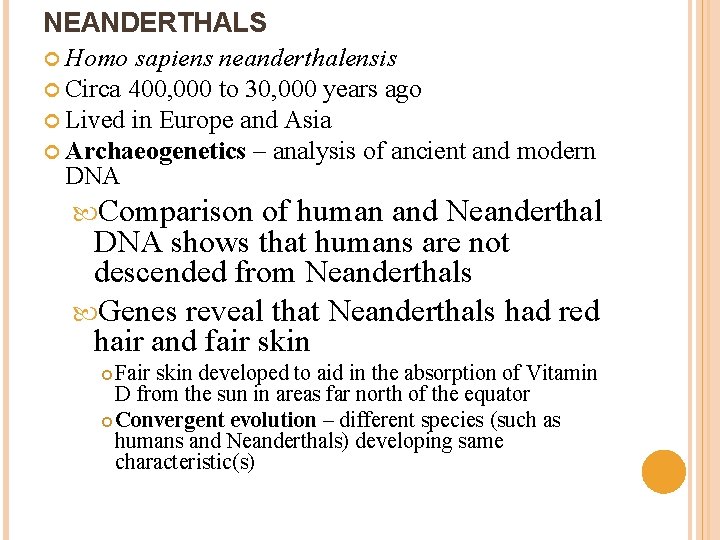 NEANDERTHALS Homo sapiens neanderthalensis Circa 400, 000 to 30, 000 years ago Lived in