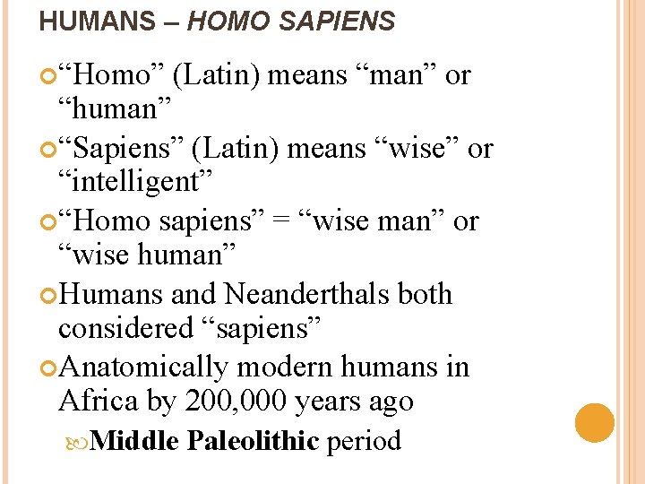HUMANS – HOMO SAPIENS “Homo” (Latin) means “man” or “human” “Sapiens” (Latin) means “wise”