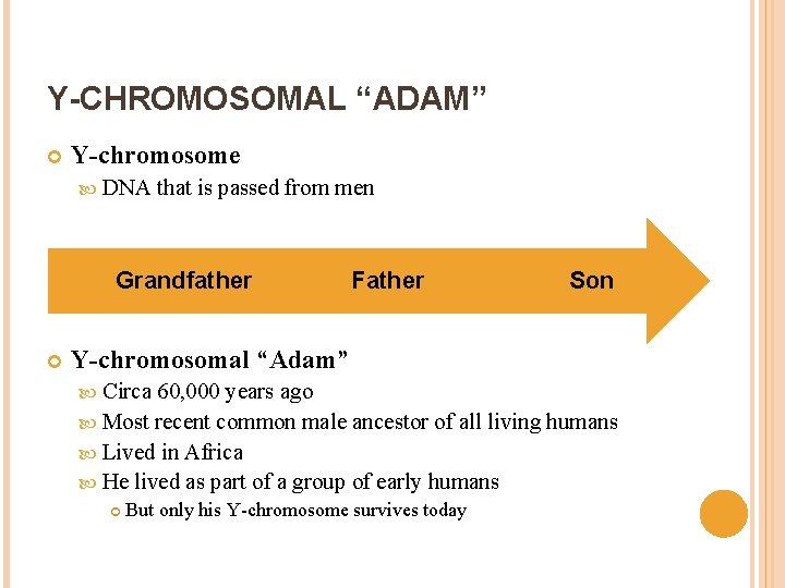 Y-CHROMOSOMAL “ADAM” Y-chromosome DNA that is passed from men Grandfather Father Son Y-chromosomal “Adam”