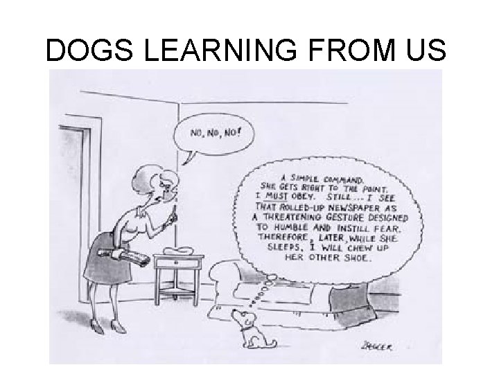 DOGS LEARNING FROM US 