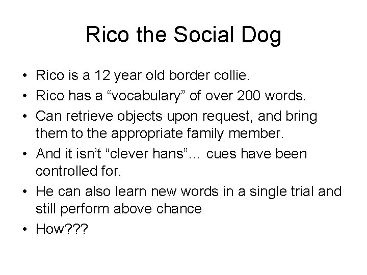 Rico the Social Dog • Rico is a 12 year old border collie. •