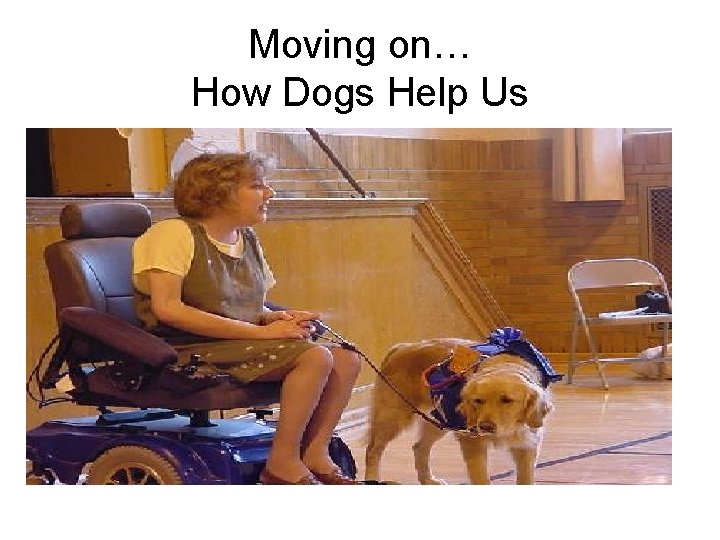 Moving on… How Dogs Help Us 