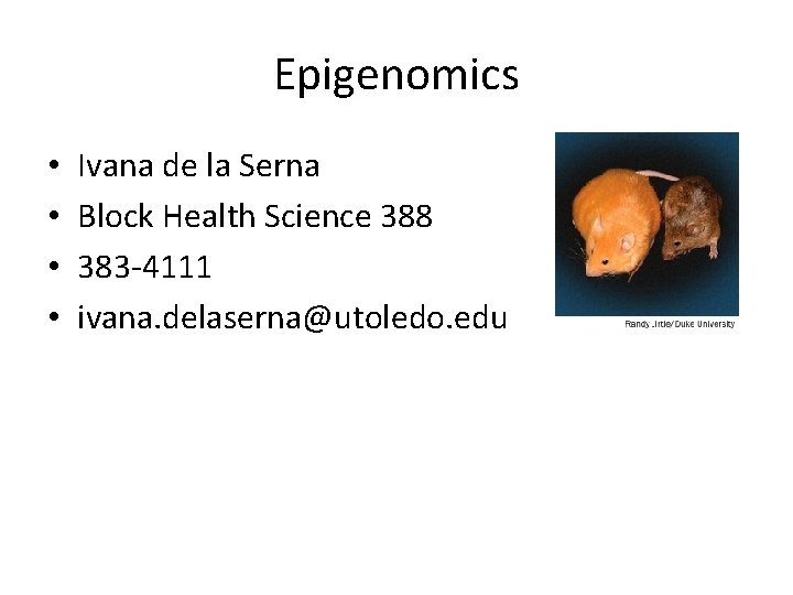 Epigenomics • • Ivana de la Serna Block Health Science 388 383 -4111 ivana.