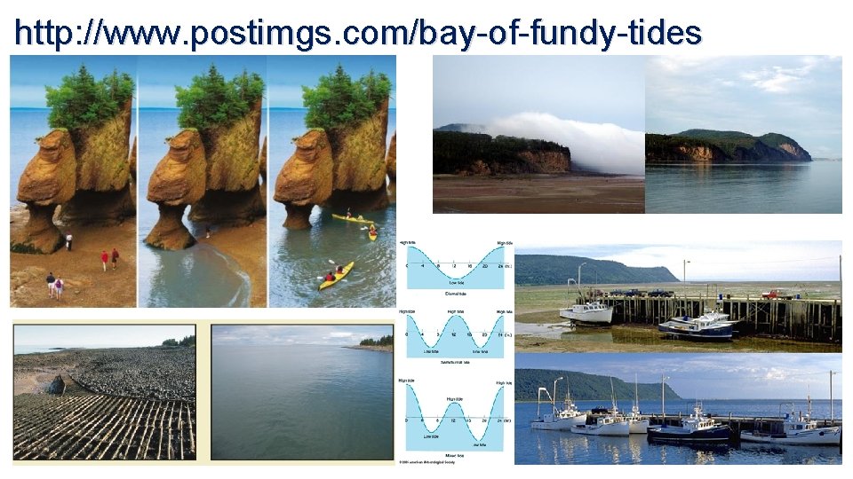 http: //www. postimgs. com/bay-of-fundy-tides 