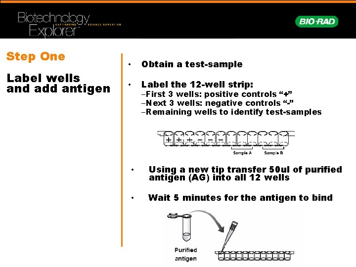 Step One Label wells and add antigen • Obtain a test-sample • Label the