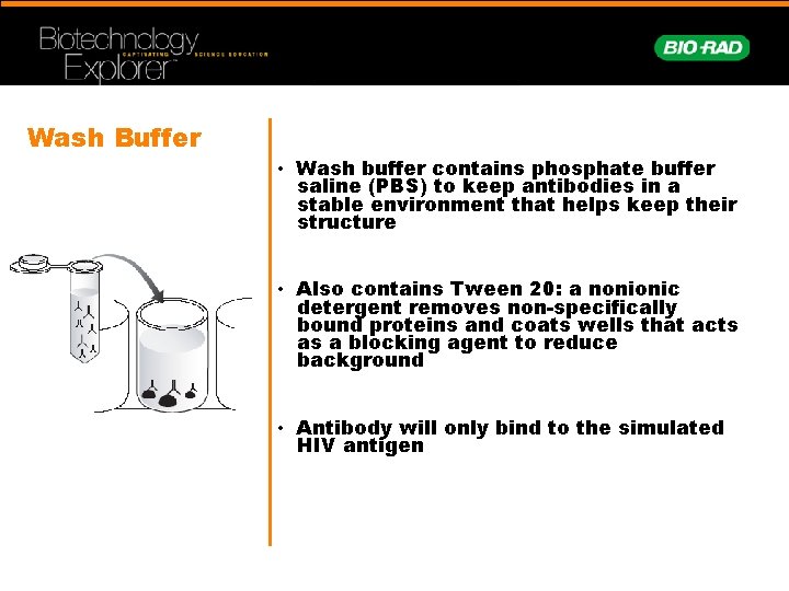 Wash Buffer • Wash buffer contains phosphate buffer saline (PBS) to keep antibodies in