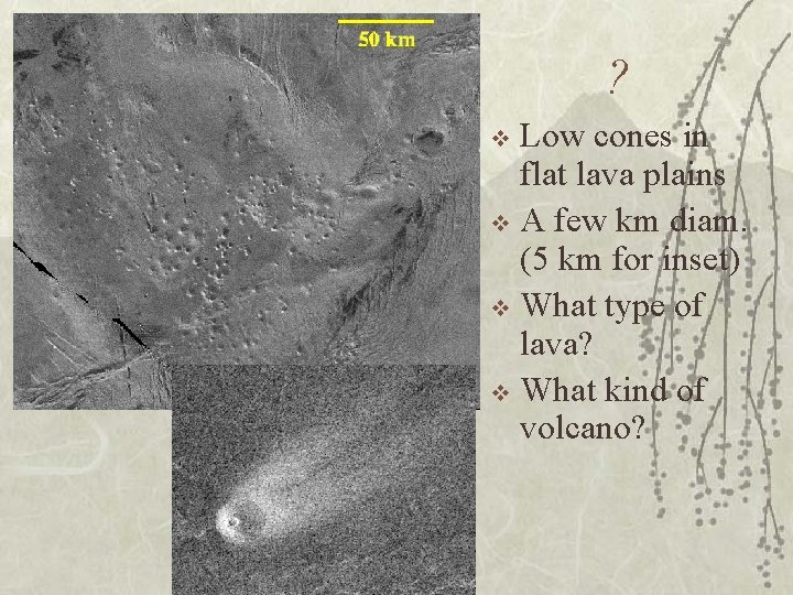 ? Low cones in flat lava plains v A few km diam. (5 km