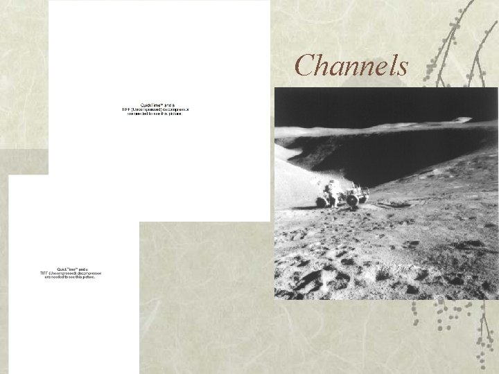 Channels 