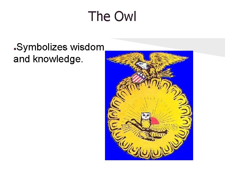 The Owl Symbolizes wisdom and knowledge. ● 