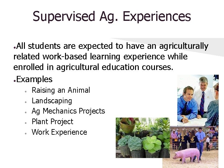 Supervised Ag. Experiences All students are expected to have an agriculturally related work-based learning