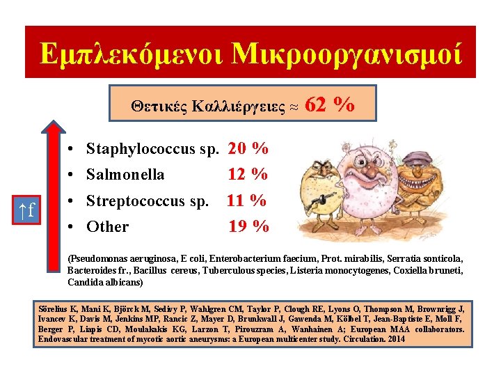 Εμπλεκόμενοι Μικροοργανισμοί Θετικές Καλλιέργειες ≈ 62 % • Staphylococcus sp. 20 % • Salmonella Εμπλεκόμενοι Μικροοργανισμοί Θετικές Καλλιέργειες ≈ 62 % • Staphylococcus sp. 20 % • Salmonella