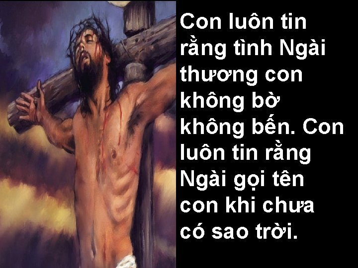 Con luôn tin rằng tình Ngài thương con không bờ không bến. Con luôn