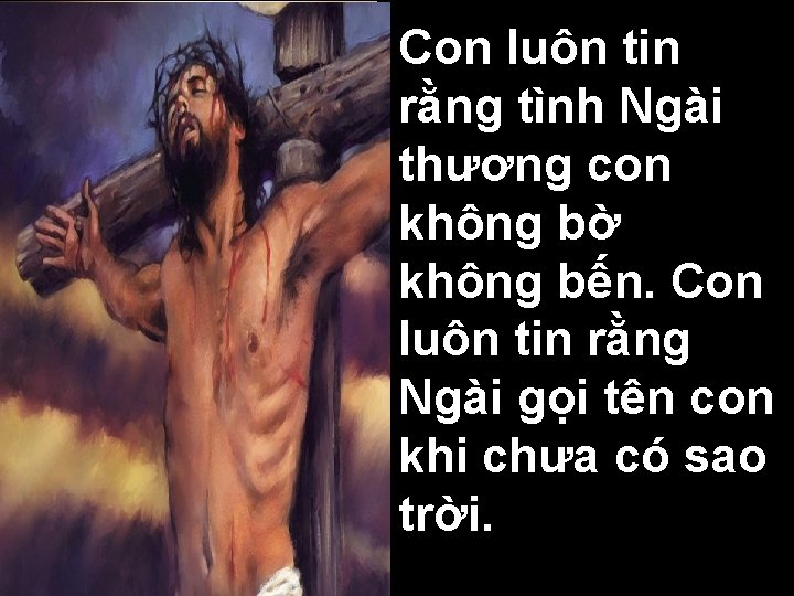 Con luôn tin rằng tình Ngài thương con không bờ không bến. Con luôn