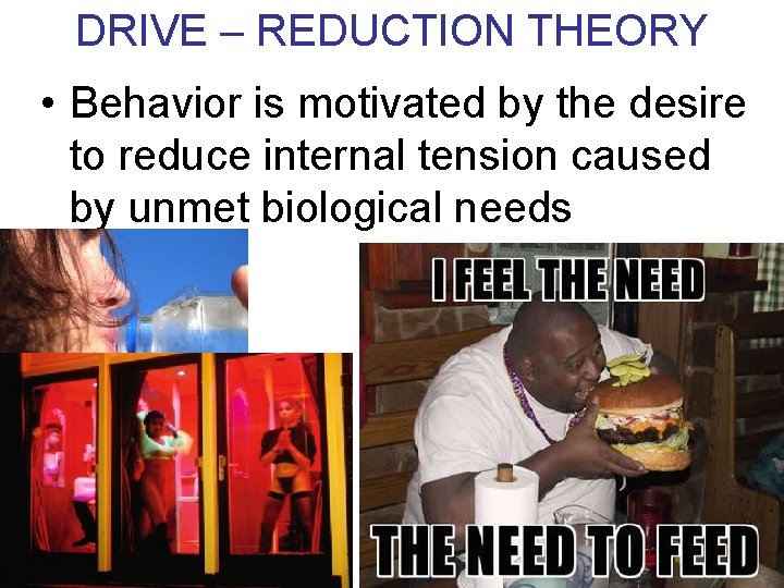 DRIVE – REDUCTION THEORY • Behavior is motivated by the desire to reduce internal