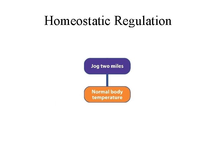 Homeostatic Regulation 