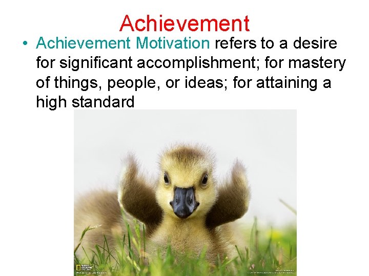 Achievement • Achievement Motivation refers to a desire for significant accomplishment; for mastery of