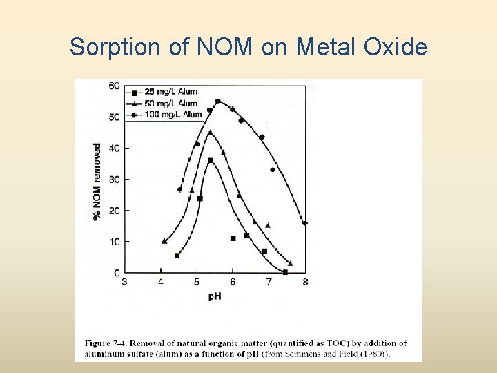 Sorption of NOM on Metal Oxide 