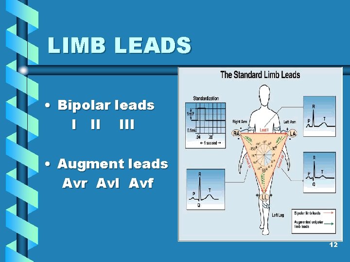  LIMB LEADS • Bipolar leads I II III • Augment leads Avr Avl