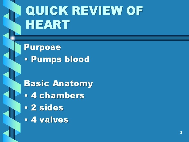 QUICK REVIEW OF HEART Purpose • Pumps blood Basic Anatomy • 4 chambers • QUICK REVIEW OF HEART Purpose • Pumps blood Basic Anatomy • 4 chambers •