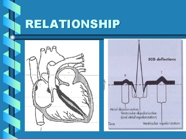 RELATIONSHIP 5 RELATIONSHIP 5