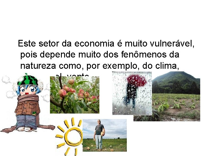  Este setor da economia é muito vulnerável, pois depende muito dos fenômenos da