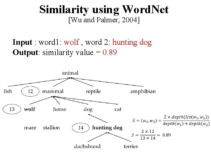 Similarity using Word. Net [Wu and Palmer, 2004] Input : word 1: wolf ,