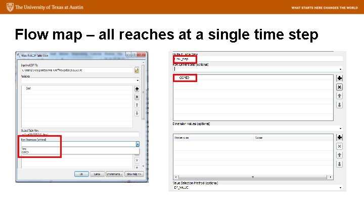 Flow map – all reaches at a single time step 
