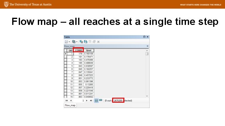 Flow map – all reaches at a single time step 