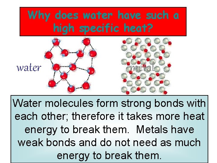 Why does water have such a high specific heat? water metal Water molecules form