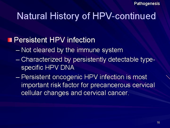 Pathogenesis Natural History of HPV-continued Persistent HPV infection – Not cleared by the immune Pathogenesis Natural History of HPV-continued Persistent HPV infection – Not cleared by the immune