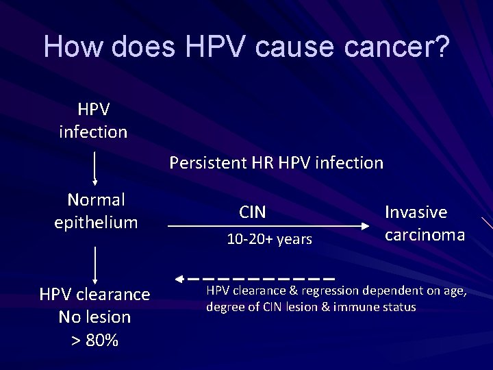 How does HPV cause cancer? HPV infection Persistent HR HPV infection Normal epithelium HPV