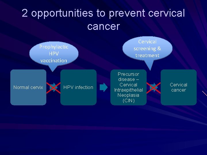 2 opportunities to prevent cervical cancer Prophylactic HPV vaccination Normal cervix HPV infection Cervical