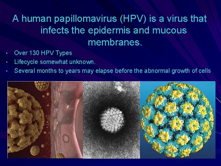 human papillomavirus duration