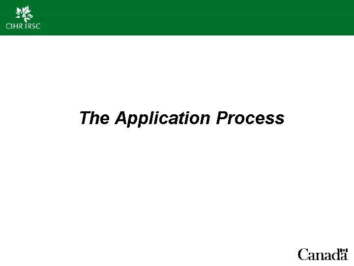 The Application Process 