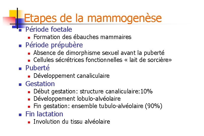 Etapes de la mammogenèse n Période foetale n n Période prépubère n n n