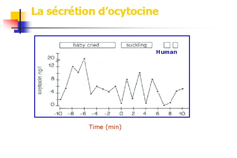 La sécrétion d’ocytocine Human Time (min) 