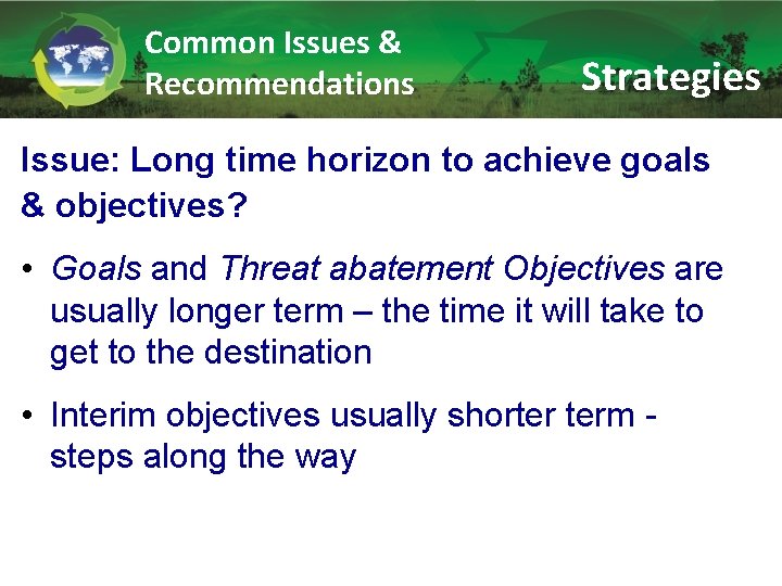 Common Issues & Recommendations Strategies Issue: Long time horizon to achieve goals & objectives?
